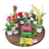Home Decor Combo 1000 (বাবুই পাখির বাসা + লতা + ২ পিস পাখি, লতার ঝাড় হ্যাঙ্গার সহ, সুইট হোম, ৬ পিস ফুলসহ টব, ৩ পিস ওয়াল ম্যাট, ৩ পিস ওয়াল ক্লিপ
