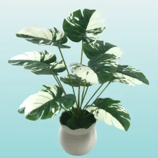 আর্টিফিশিয়াল মানি প্লান্ট (মিডিয়াম)_Bilashi Shop